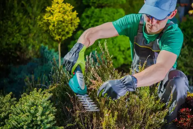 landscaping services Dardenne Prairie